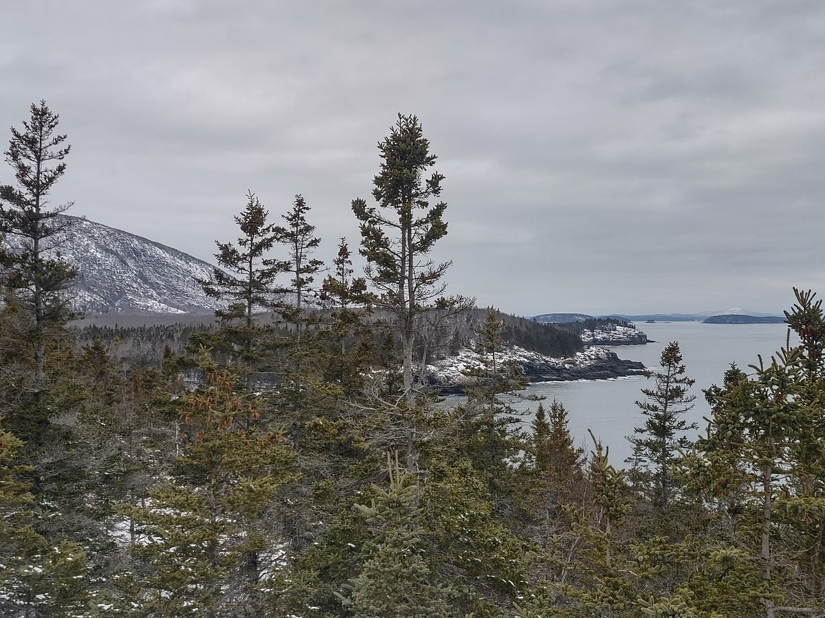 Former Acadia park ranger sues over alleged hiring discrimination