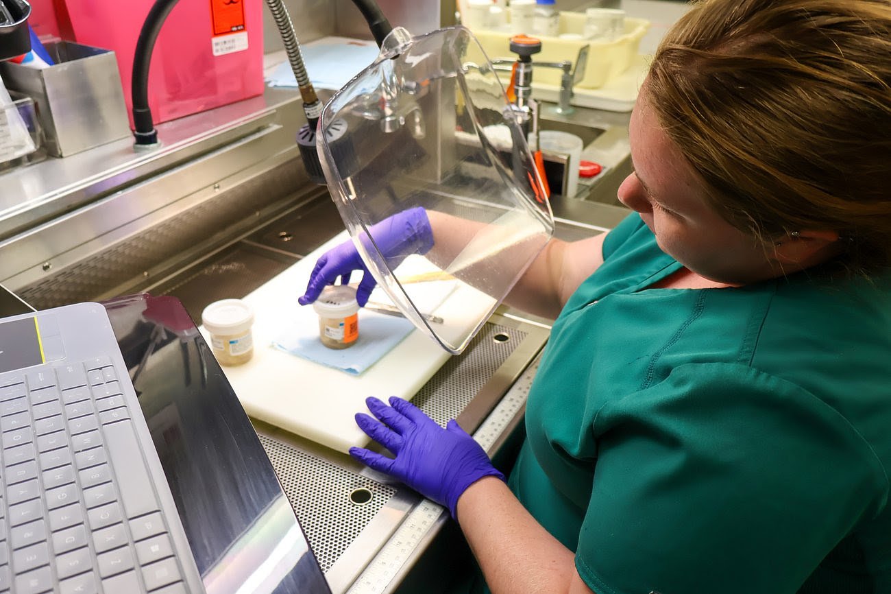 Inside the fight against ‘zombie deer disease,’ scientists confront changing politics