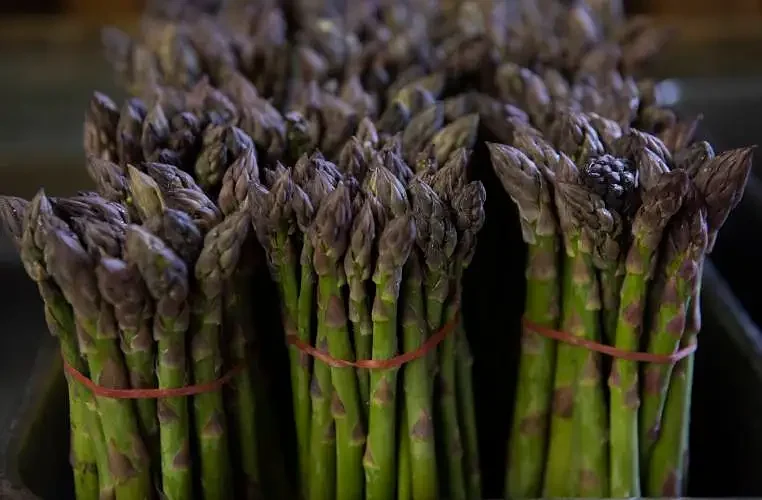 New Asparagus Days event to feature food, music, and kids' activities