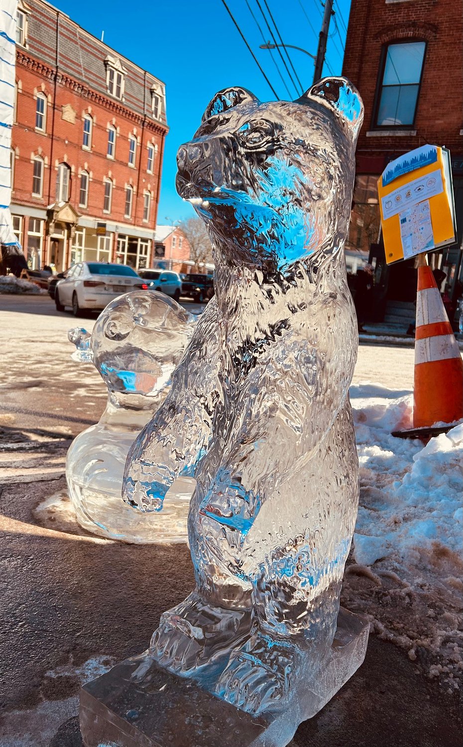 Goodbye winter blues, hello winter fun!