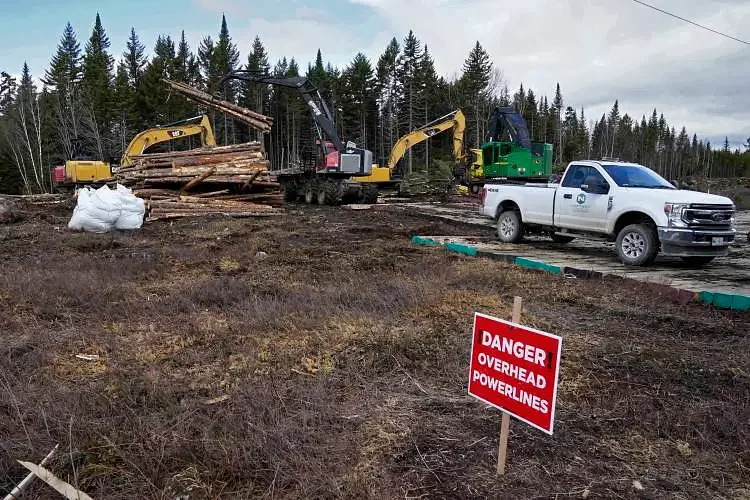 Experts weigh in on logging’s impact on New England forests