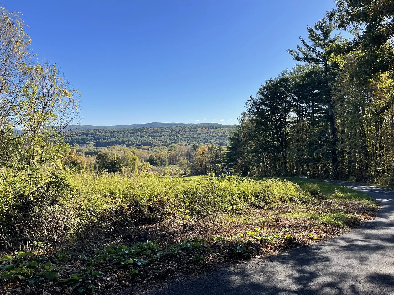 DCR acquires 262 acres of Deerfield forest for preservation