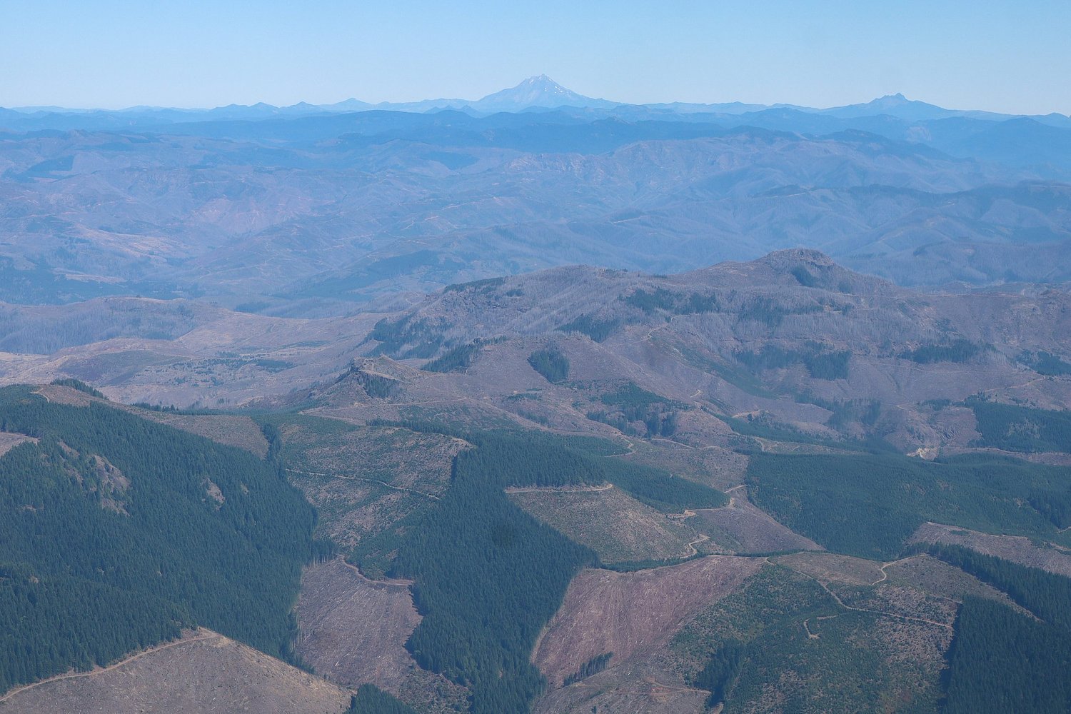 Out-of-state senators vote on forest ‘fix’ for places like Lane County