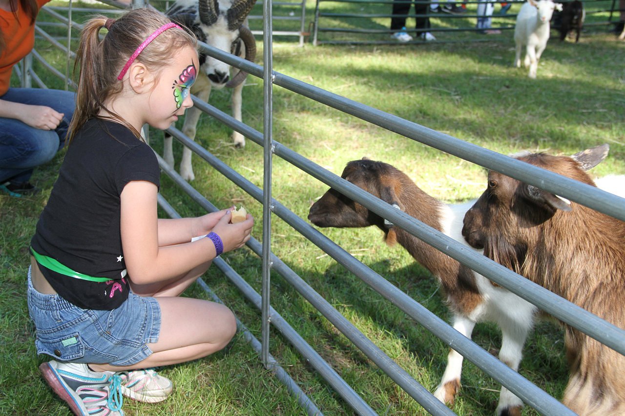 Old-fashioned family fun at Granby Charter Days Festival