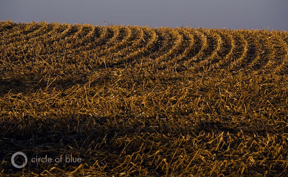 Political Surprise in the Corn Belt
