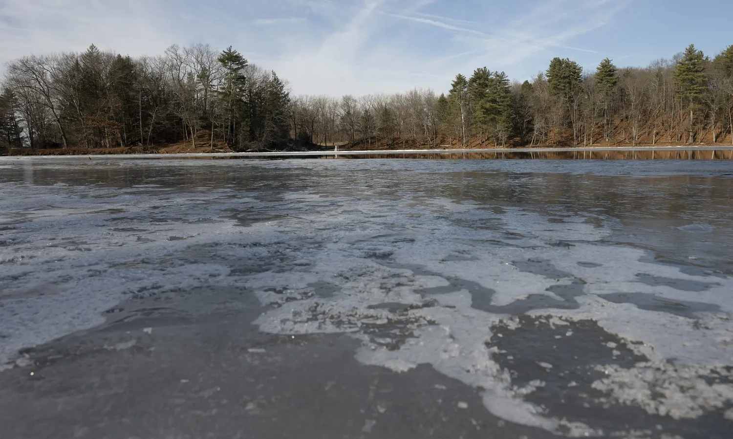Amherst seeks public input on extensive Puffer’s Pond restoration project