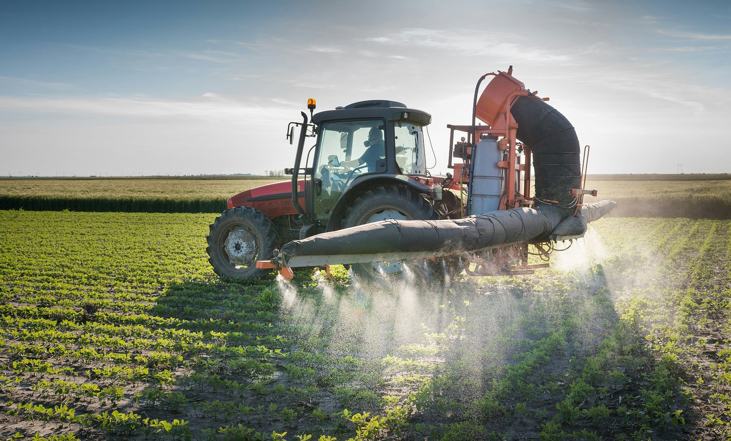 Atrazine probably causes cancer in humans, WHO cancer agency says