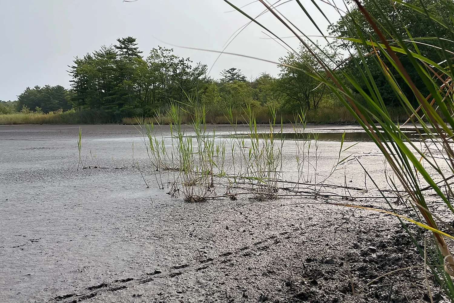 What will it take to end NH’s long-running drought?