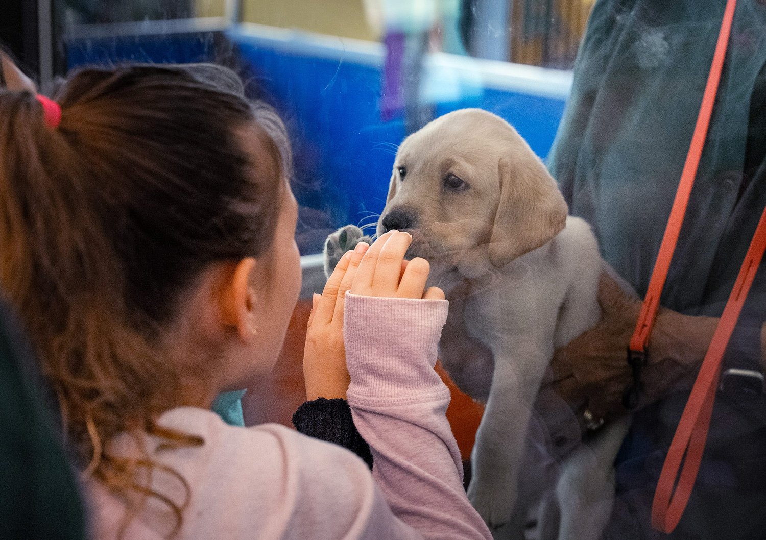 Blind twins return to San Rafael for guide dogs