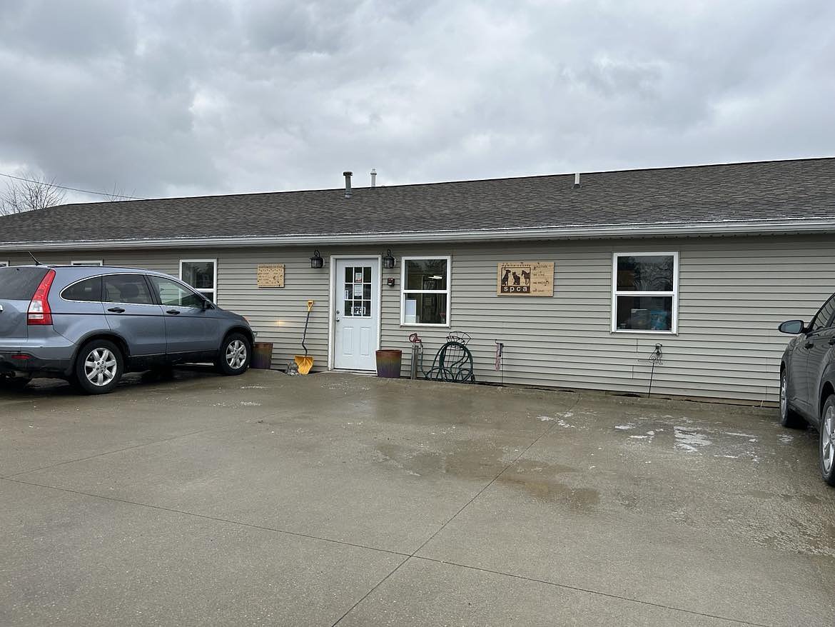 Kitten season adds to limited capacity at Medina County SPCA