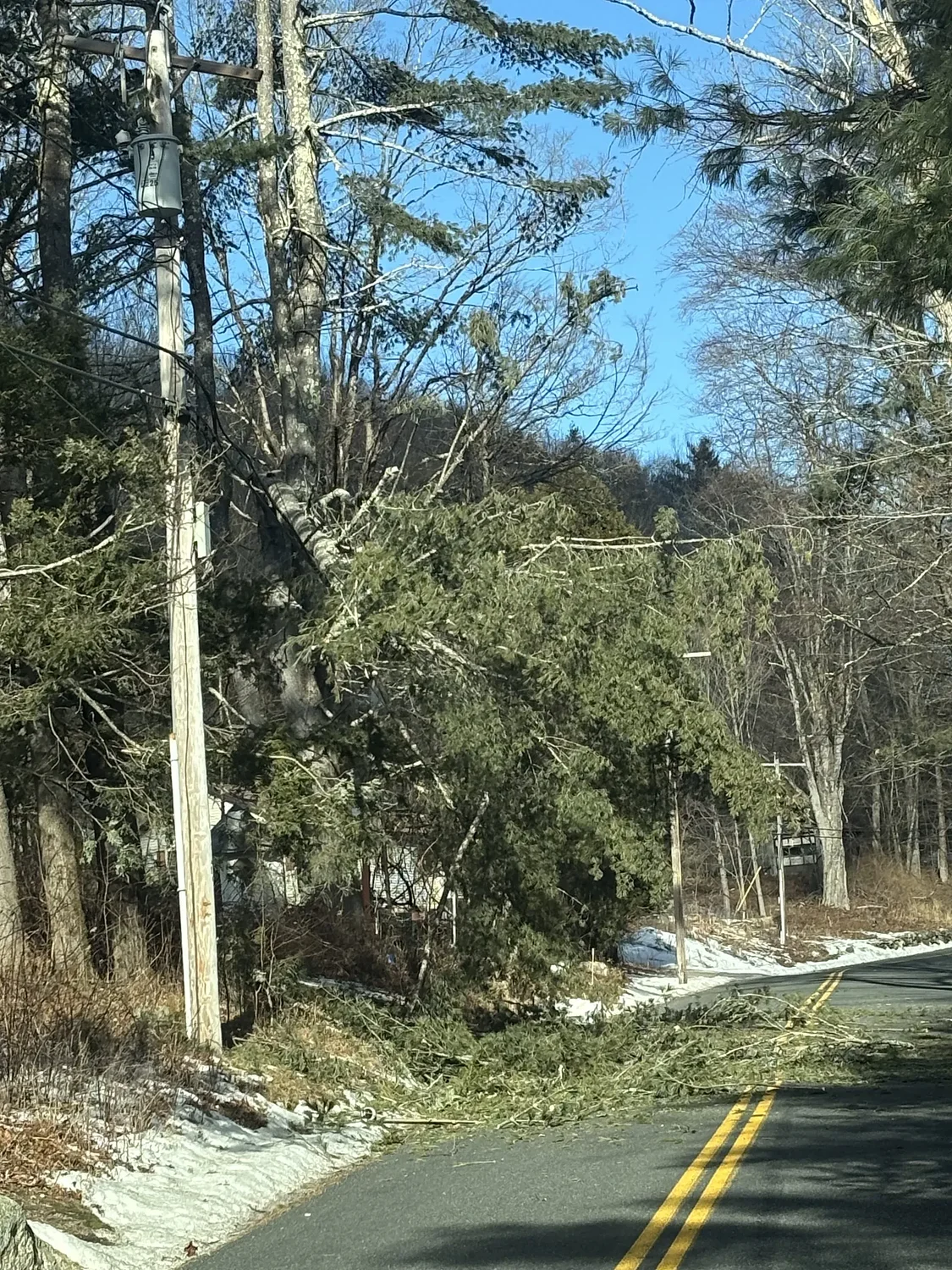 Wind blew down trees in Williamsburg, Florence, leaving 285 National Grid customers without power