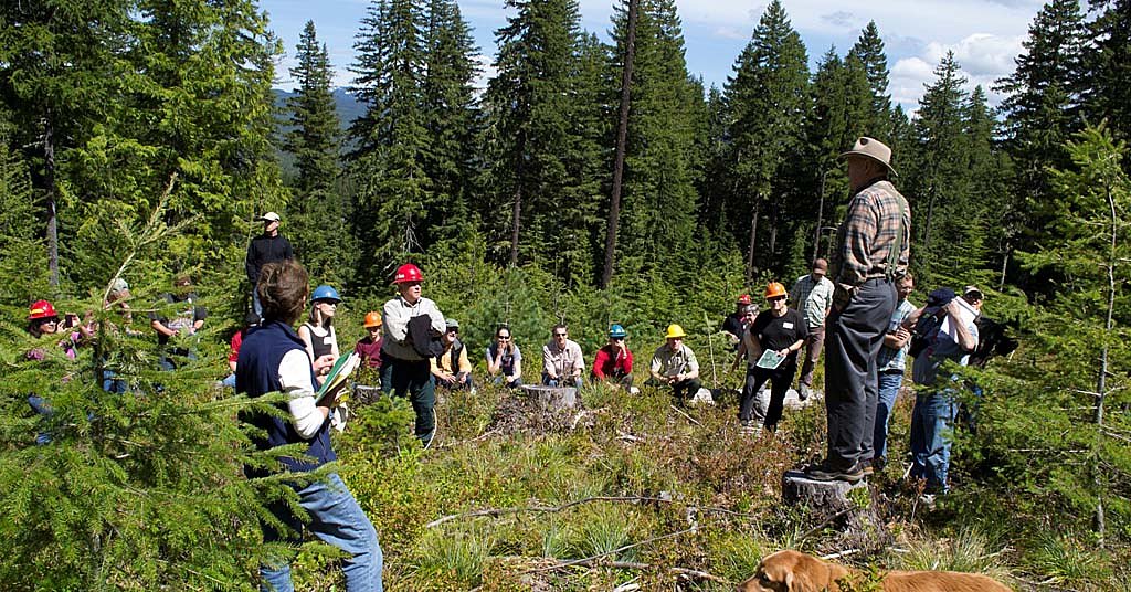 Divide and conquer: Trump’s plan to stop loggers and environmentalists from talking