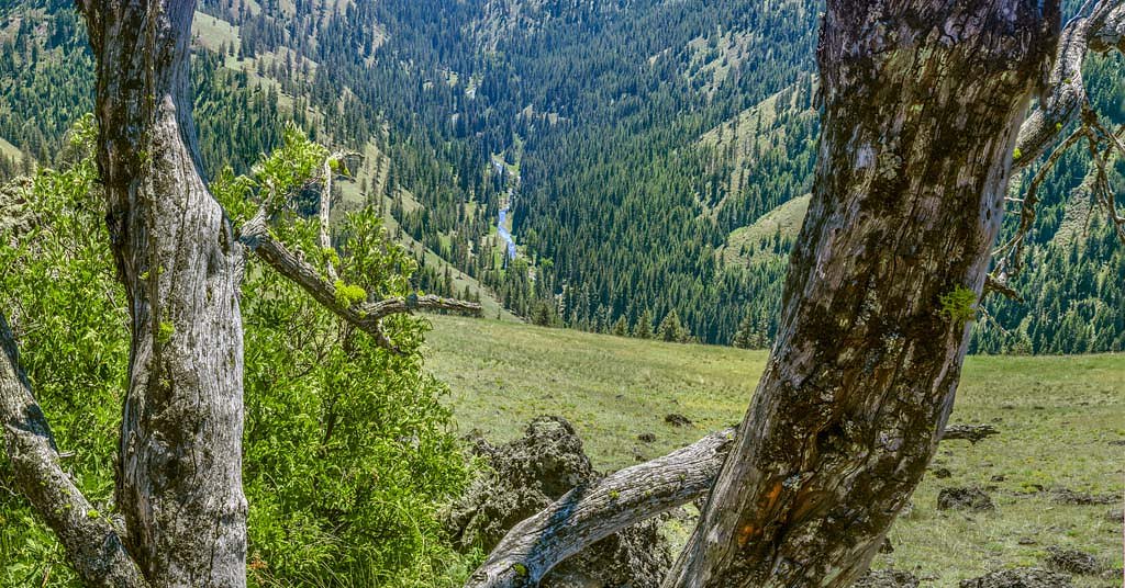 New wildlife area would see Umatilla Tribes regain access to ancestral homeland