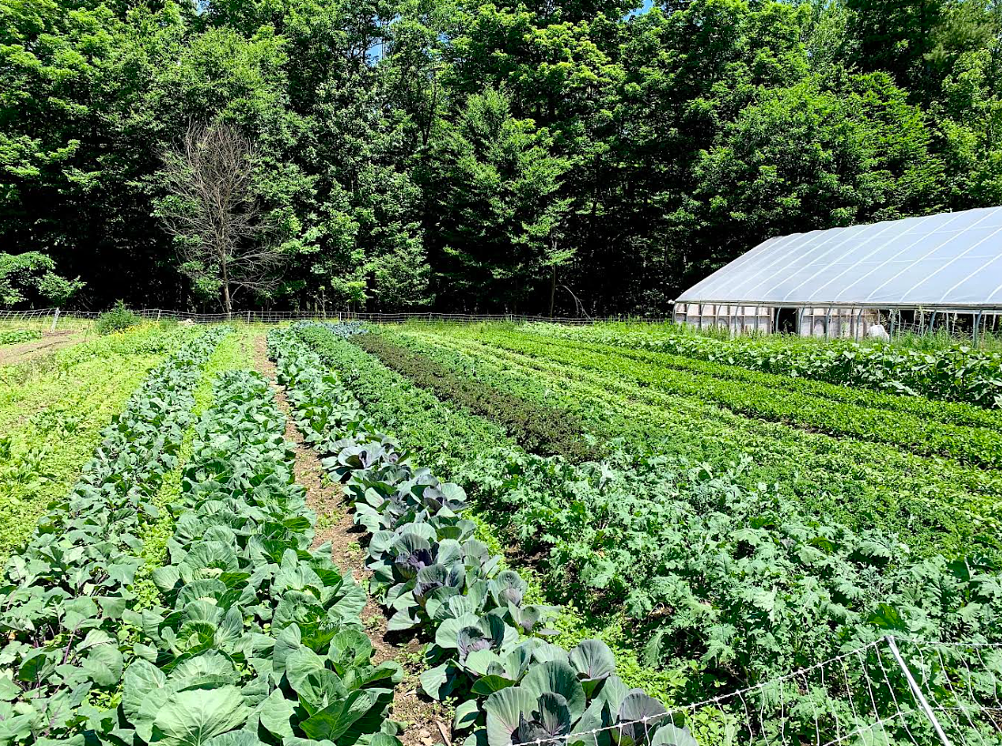 Opinion: The farm bill passed the House. Western New Hampshire got the bill.