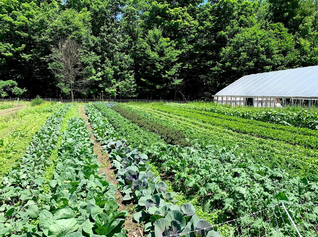 Opinion: The farm bill passed the House. Western New Hampshire got the bill.