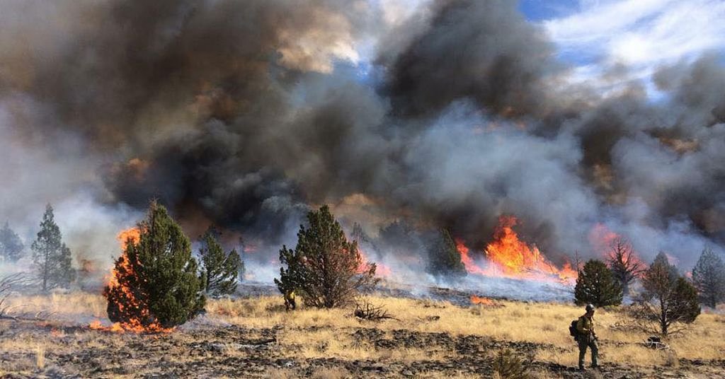 WSU/PSU team up to study extreme weather
