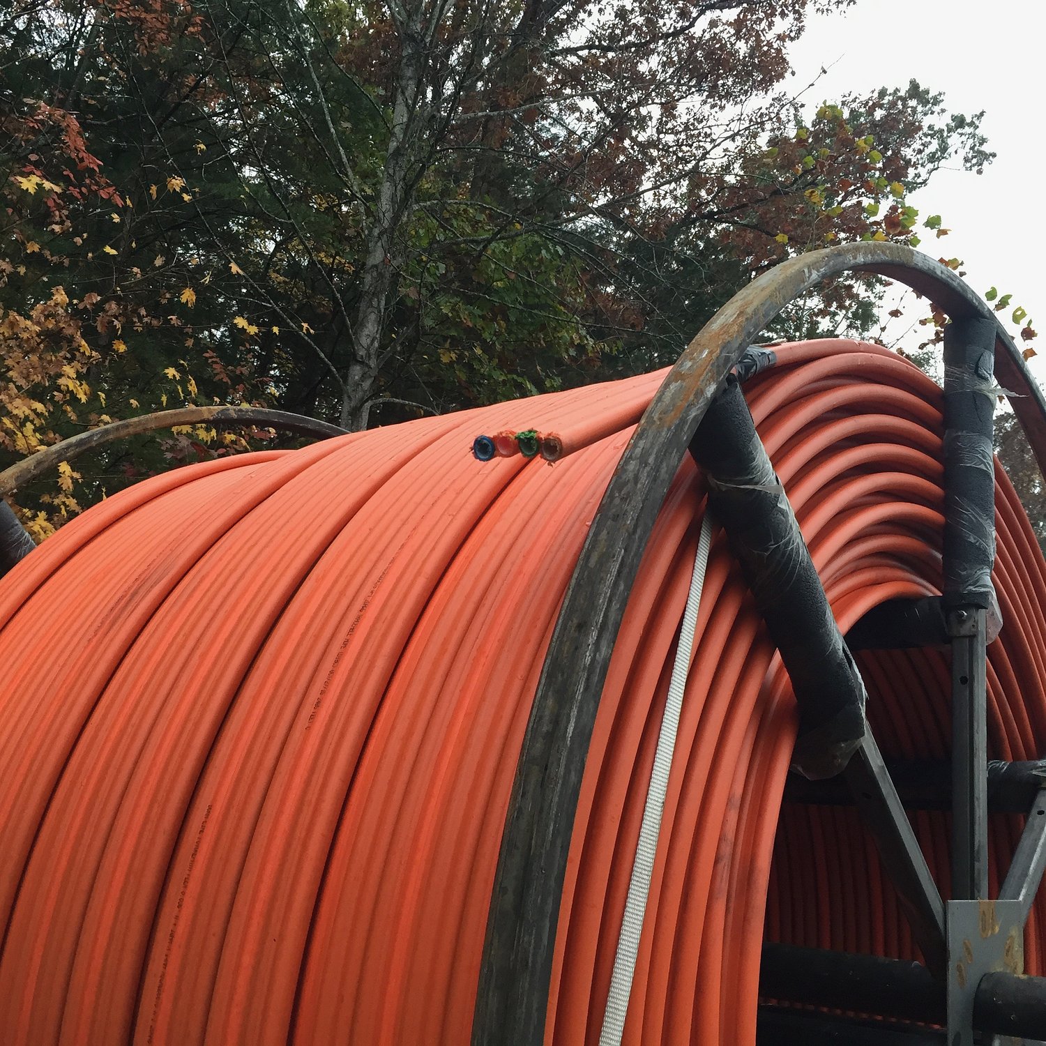 Trump administration's cancellation of internet access grants will cost Southwest and Southside Virginia, officials say