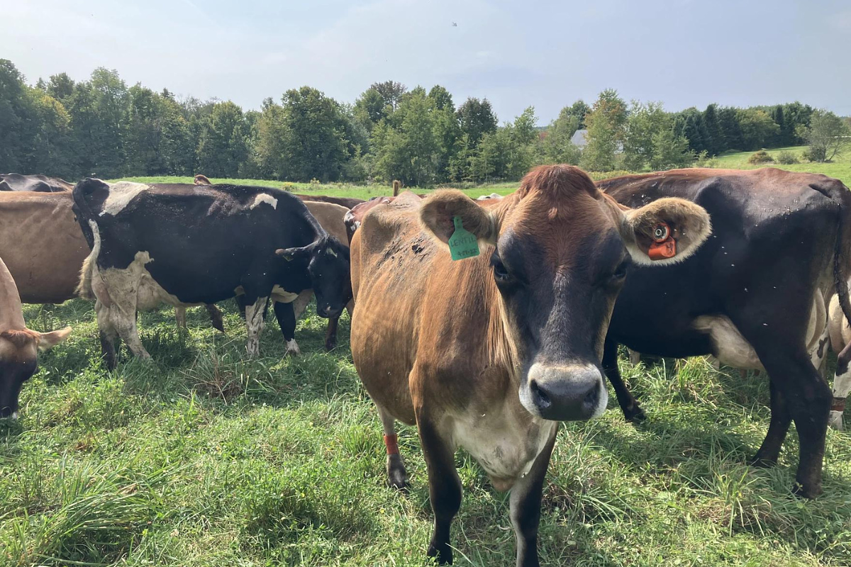 Agriculture bond benefits all of Maine