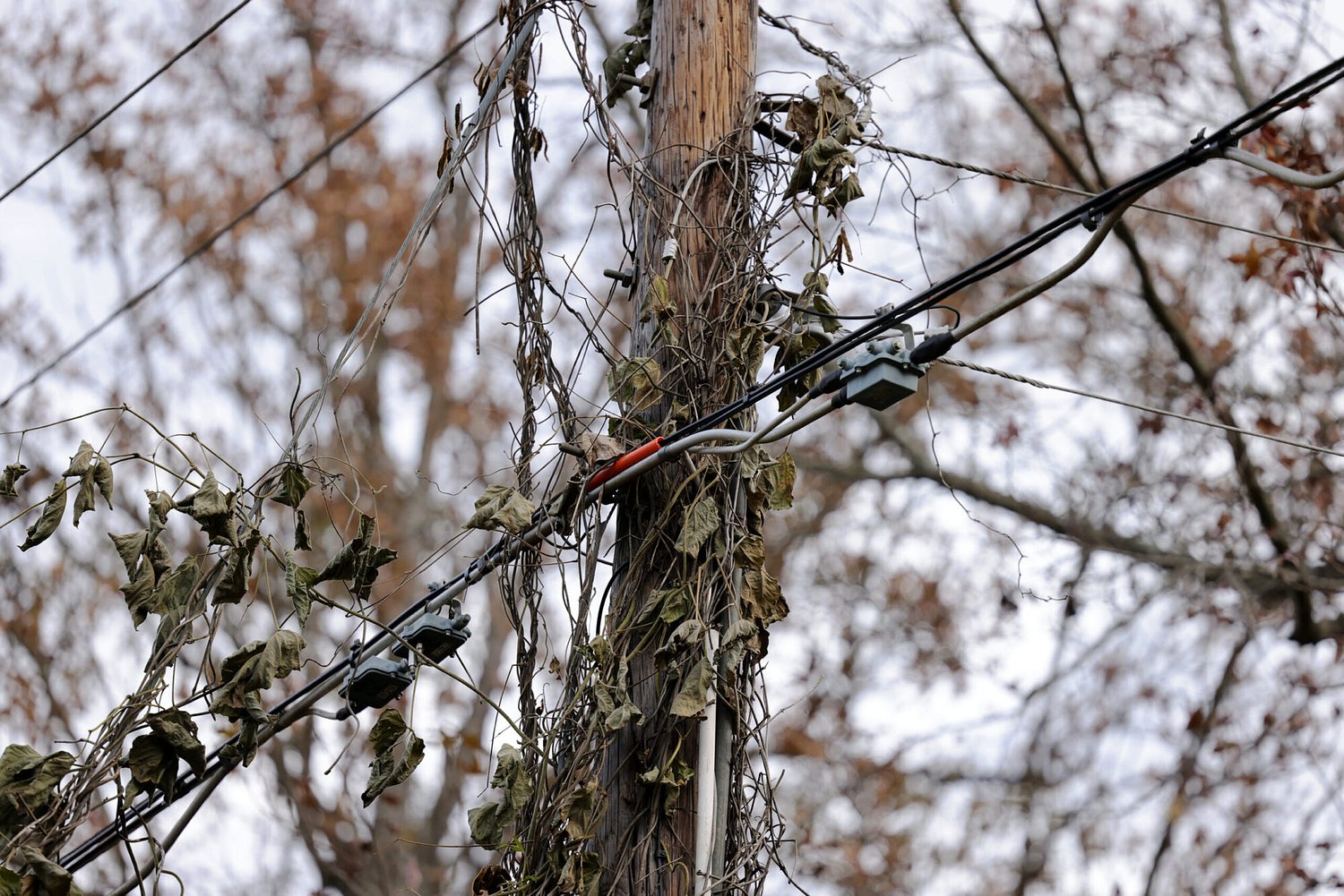 Report pans city’s role in Holly Springs utility issues