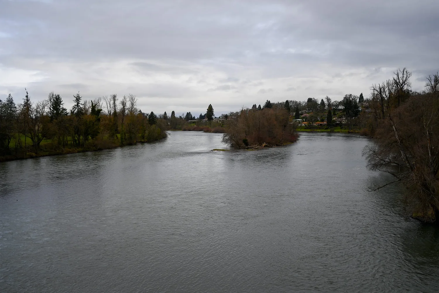 I'd love to support the Lane County Watersheds Bill of Rights. Here are some reasons I can't.