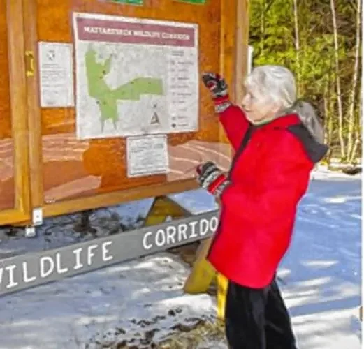 Patricia Martin named Hometown Hero for her tireless volunteer efforts