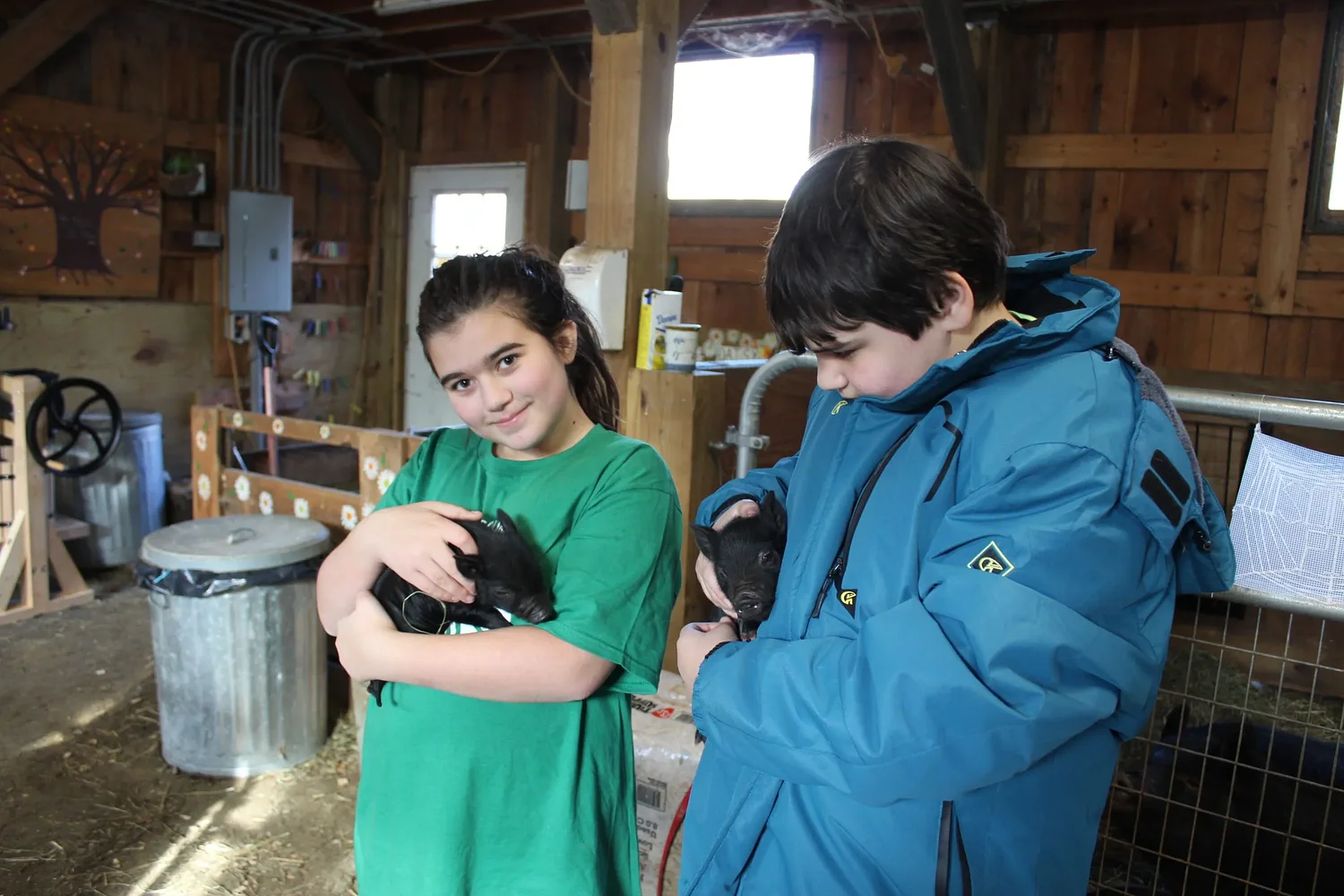 Hawlemont, Agriculture and You program credited with helping students achieve above-average MCAS scores