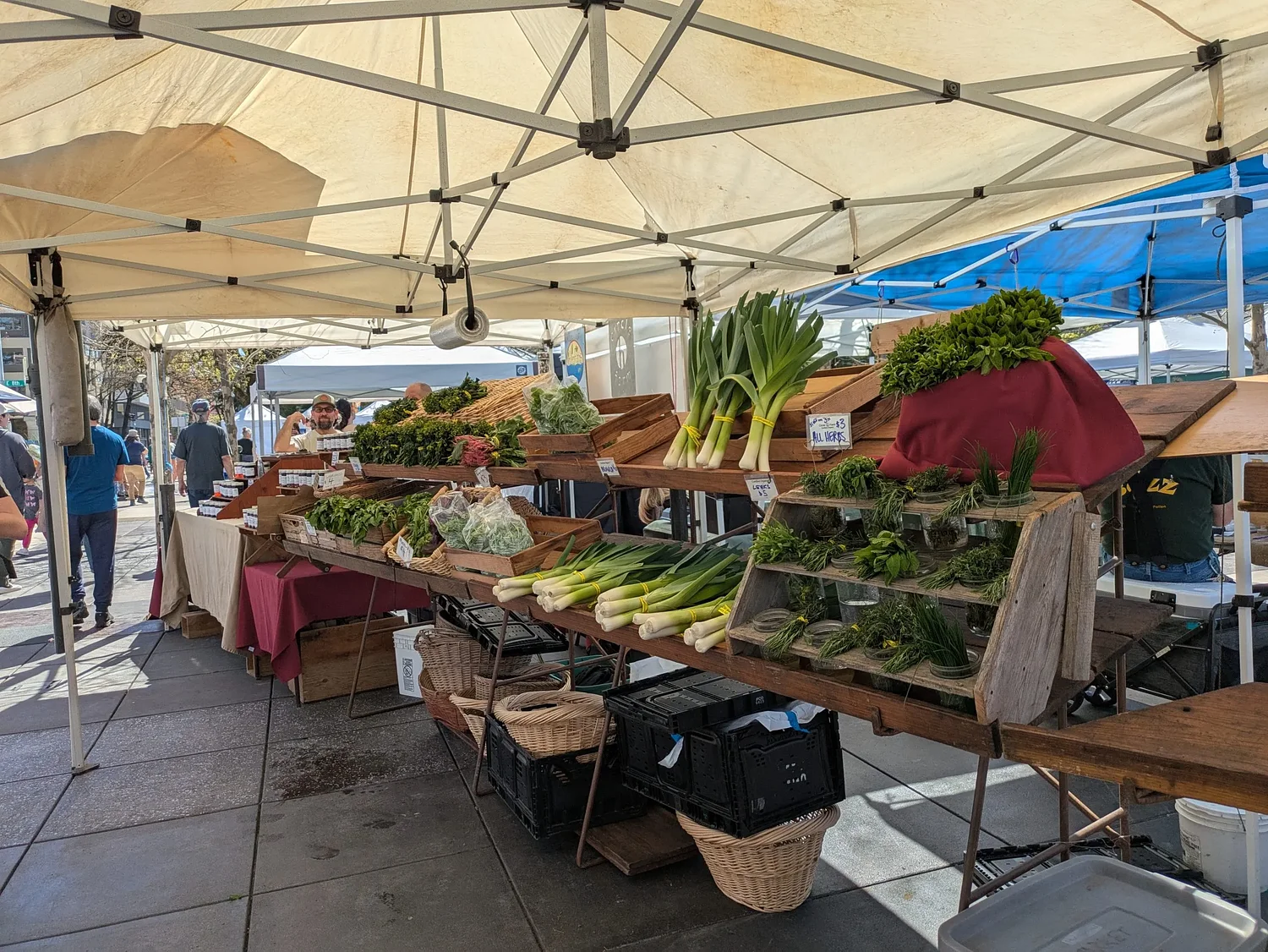 Plans move forward for Sunday farmers market in downtown Springfield