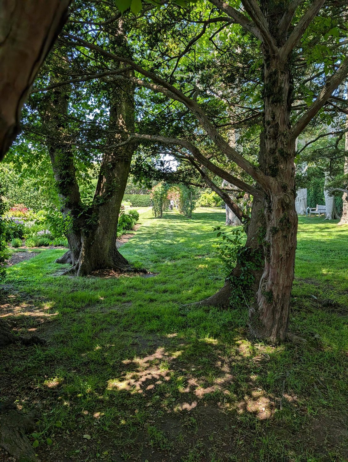 Rough Point earns Level 1 arboretum accreditation