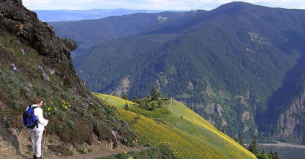 Plan for ‘largest sell-off of public lands in U.S. history’ rejected, but still not dead