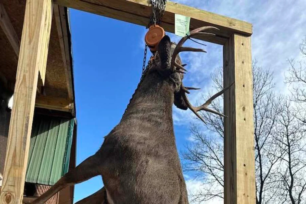 Maine’s heaviest deer of the 2025 season