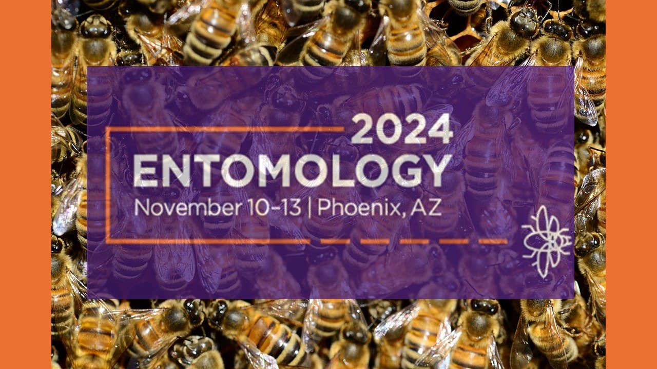 A boost for bee science: Controversial pesticide research returns to major entomology conference