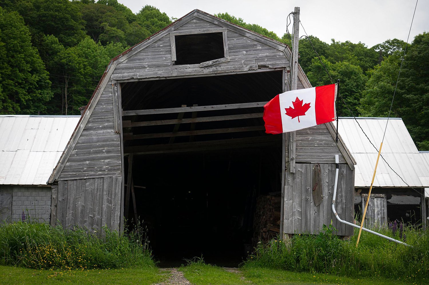‘A costly unforced error’: Vermont Legislature’s top economist slams Trump’s trade war