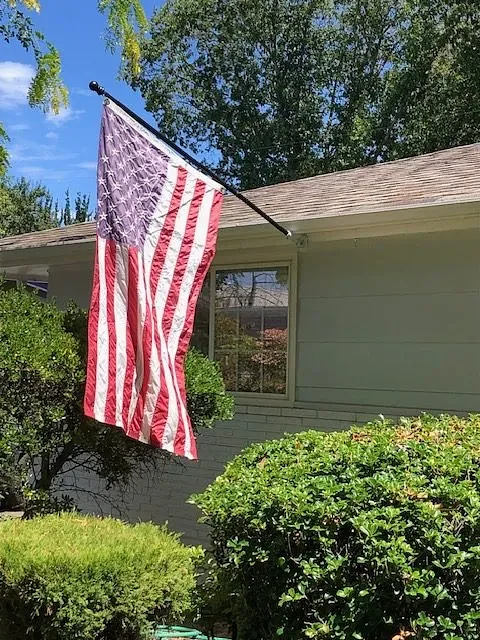 ‘Not for Trump, and, yes, will fly the flag’