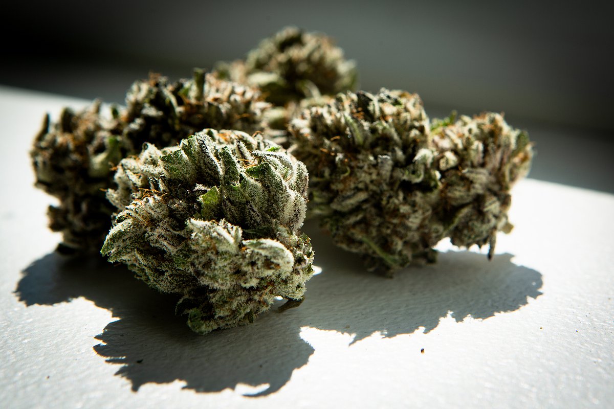 Another Maine cannabis shop has been burglarized