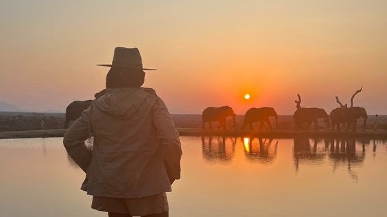 Is South Africa Safe? What You Need to Know Before You Go