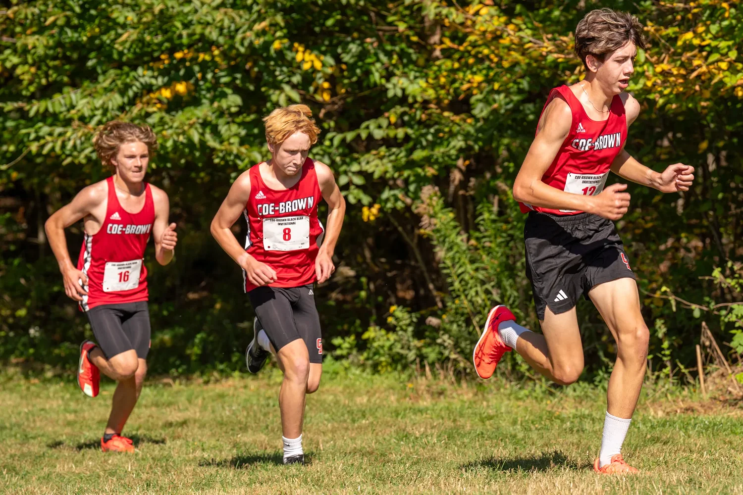 Bears dominate Black Bear Invitational on home course