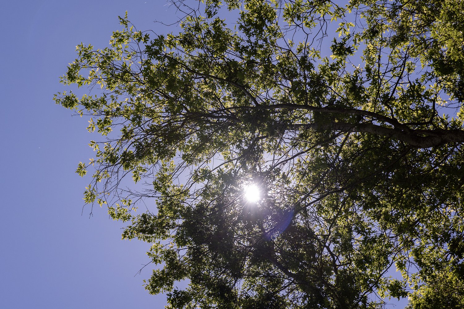 Portland breaks record with 2026’s first heat wave