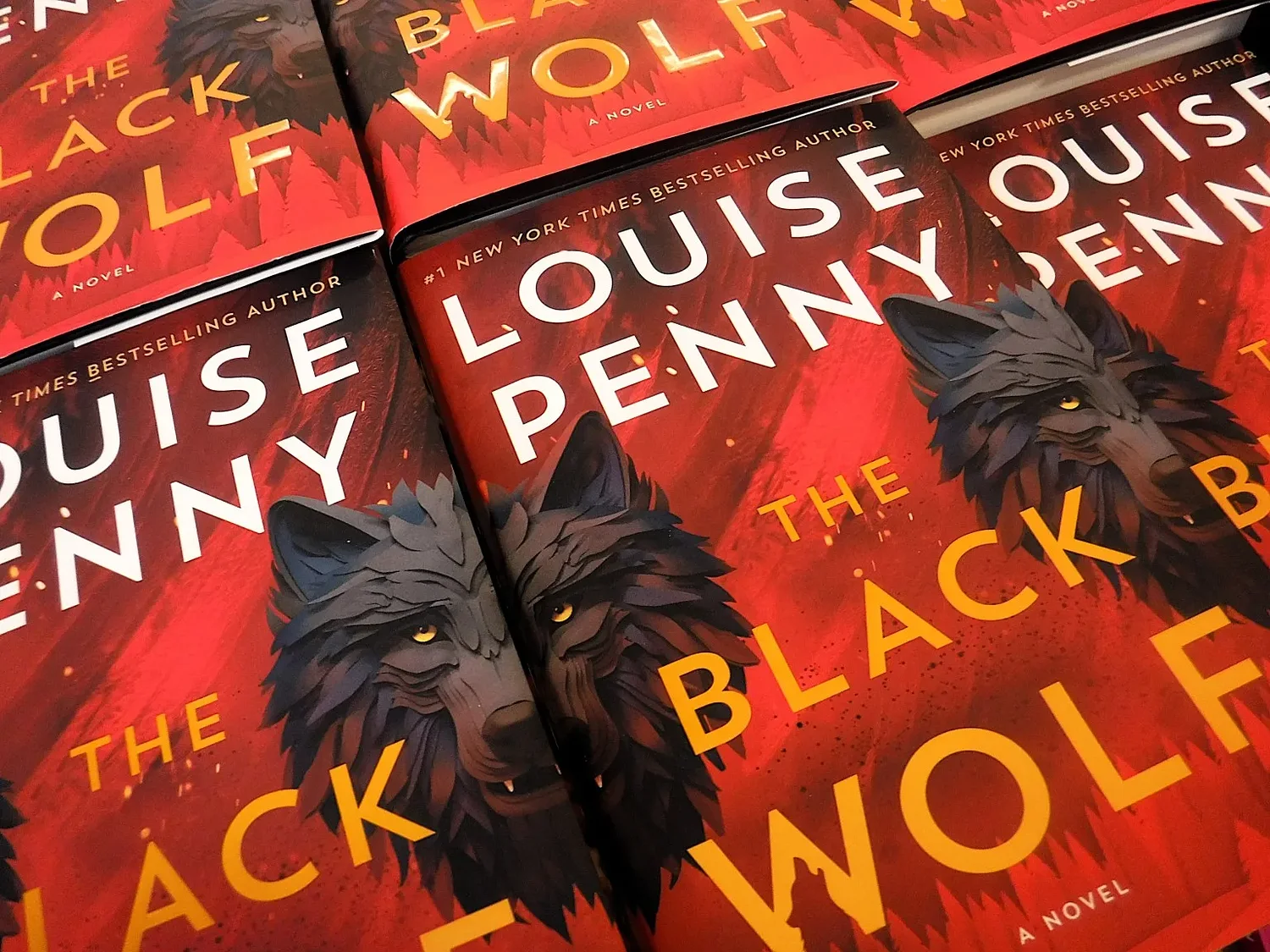 Vermont library hosts Canadian author’s appearance on border