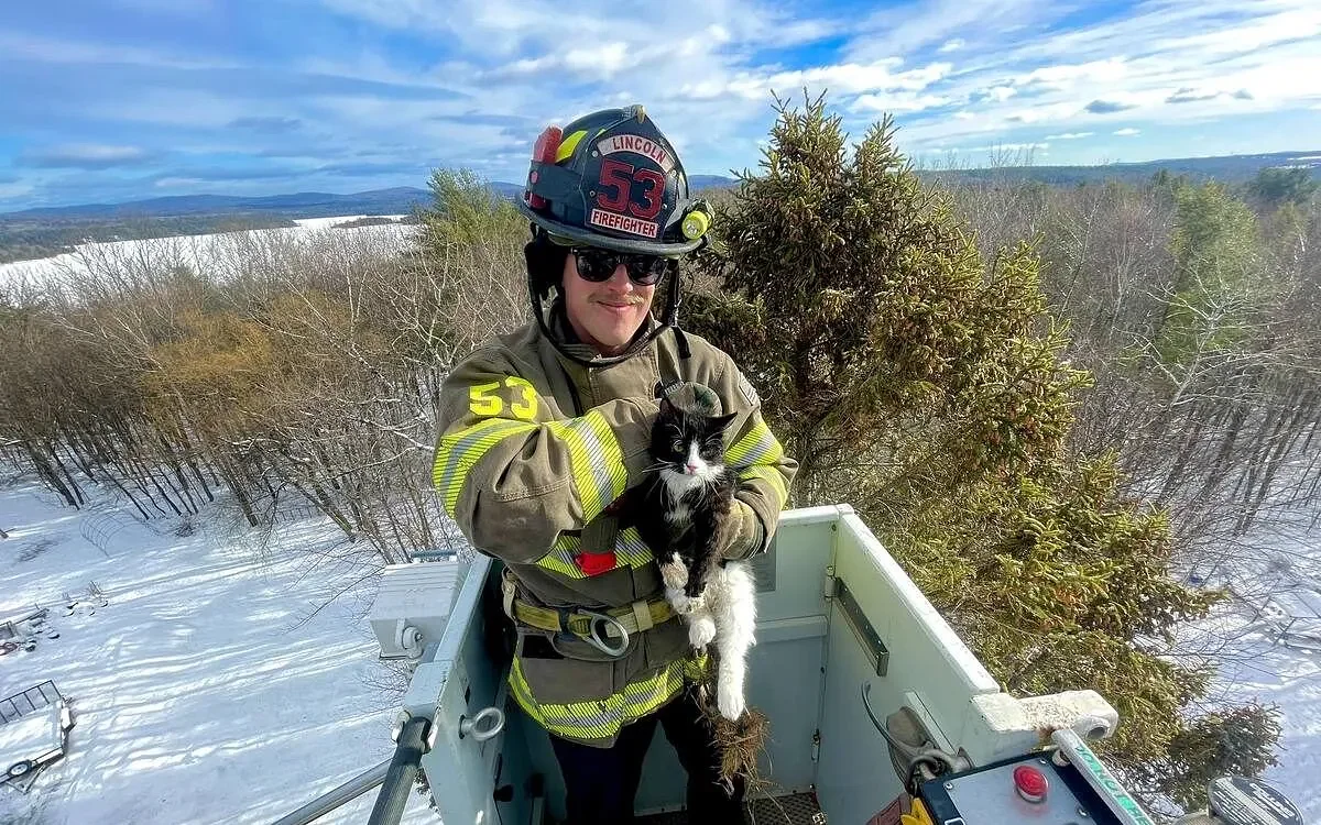 Lincoln firefighter rescues tuxedo cat stuck 95 feet up in a tree for 2 days