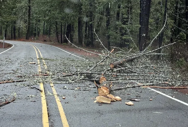 Forecasters issue wind advisory for Lane County, western Oregon 