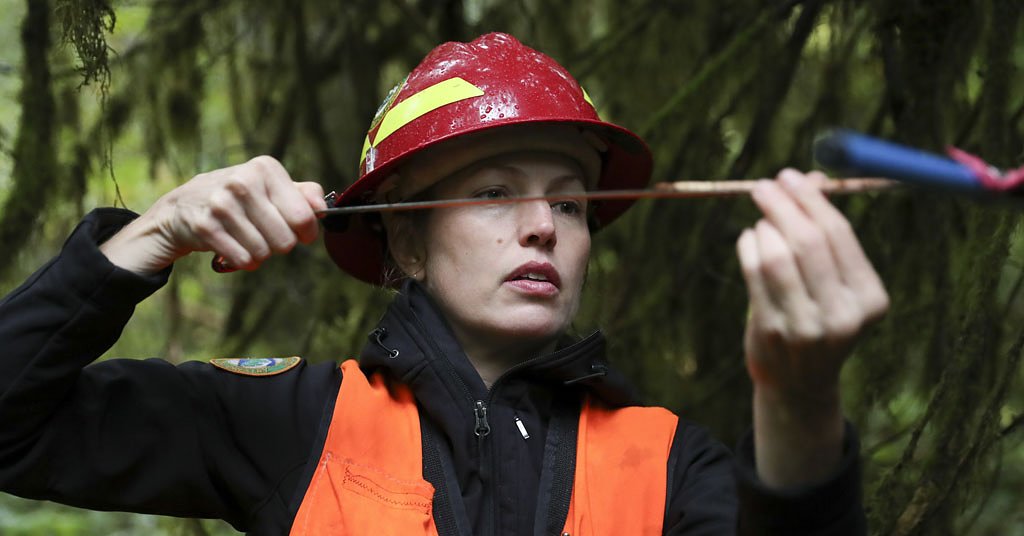 Climate change is hastening the demise of Pacific Northwest forests