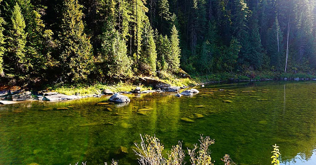 Forest Service to remove protections from 17 rivers in Idaho