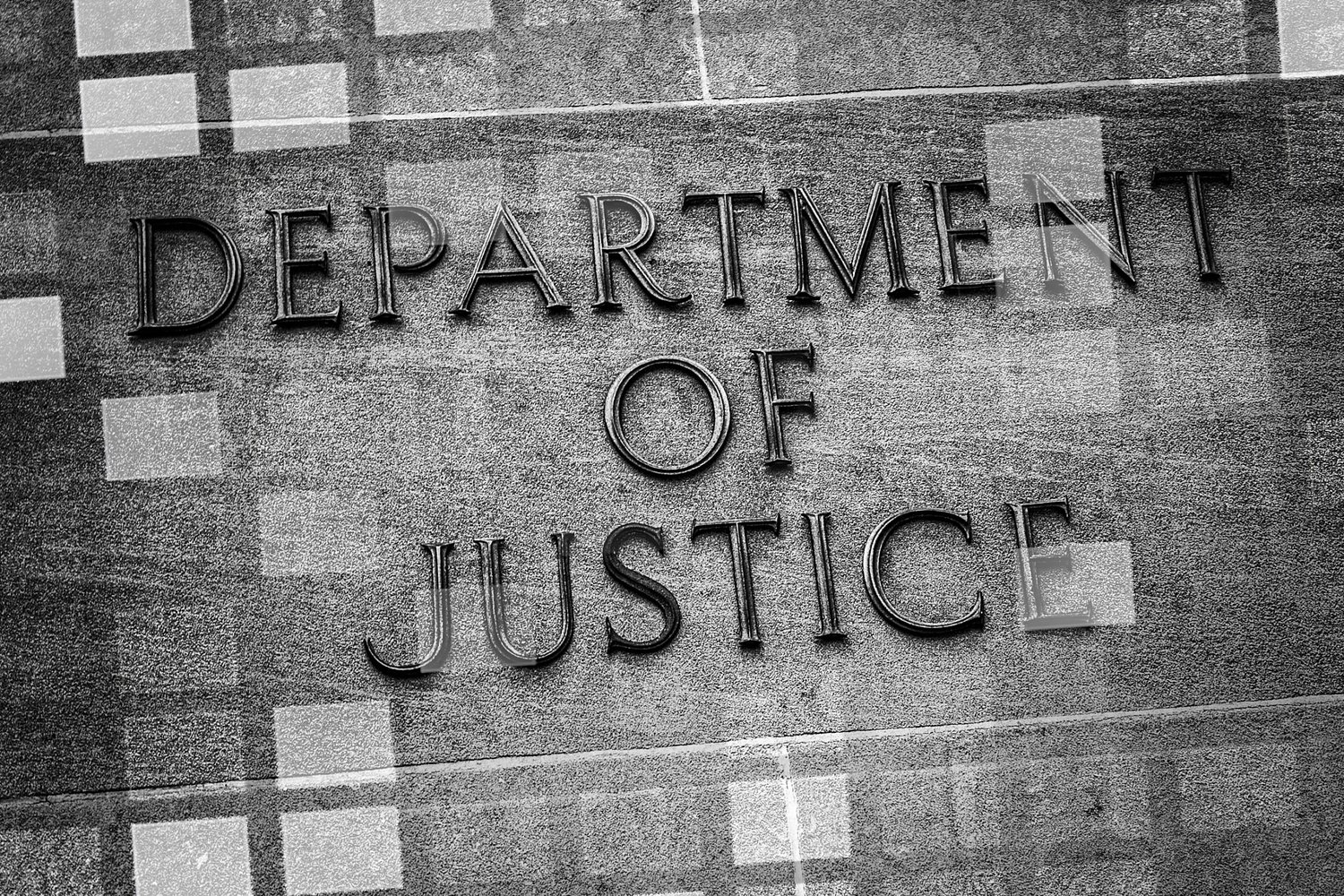 Organized Money: White Collar Crime Enforcement in the Age of ICE