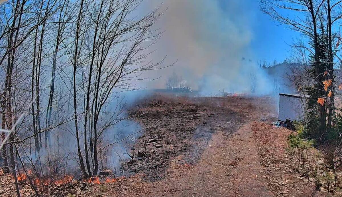 Wildfire burns nearly dozen acres in Clifton