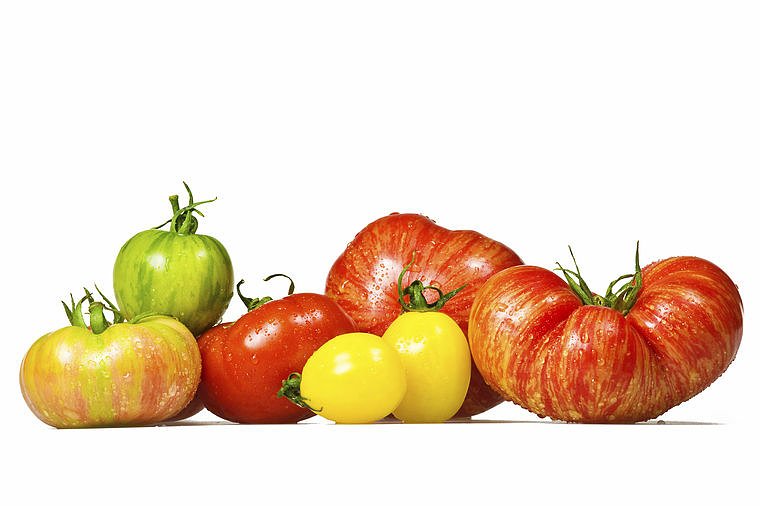 U of I Extension to offer Tomato Troubles program June 23 in Seneca