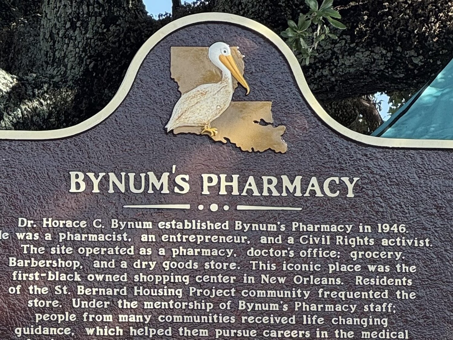 He couldn’t work in white pharmacies, so Horace Bynum started his own