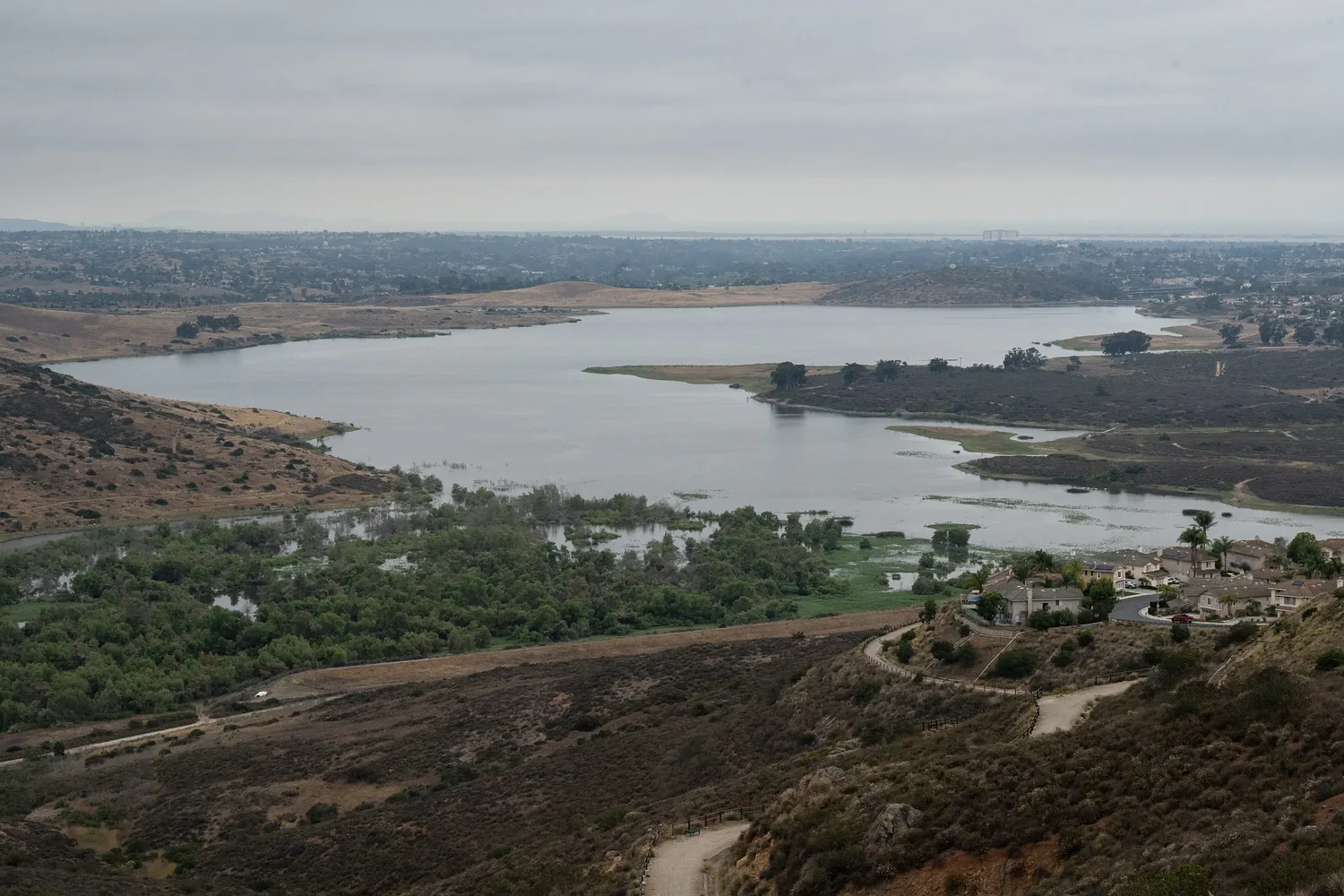 Sweetwater Authority, already draining extra water supply, looks for more to combat algal bloom