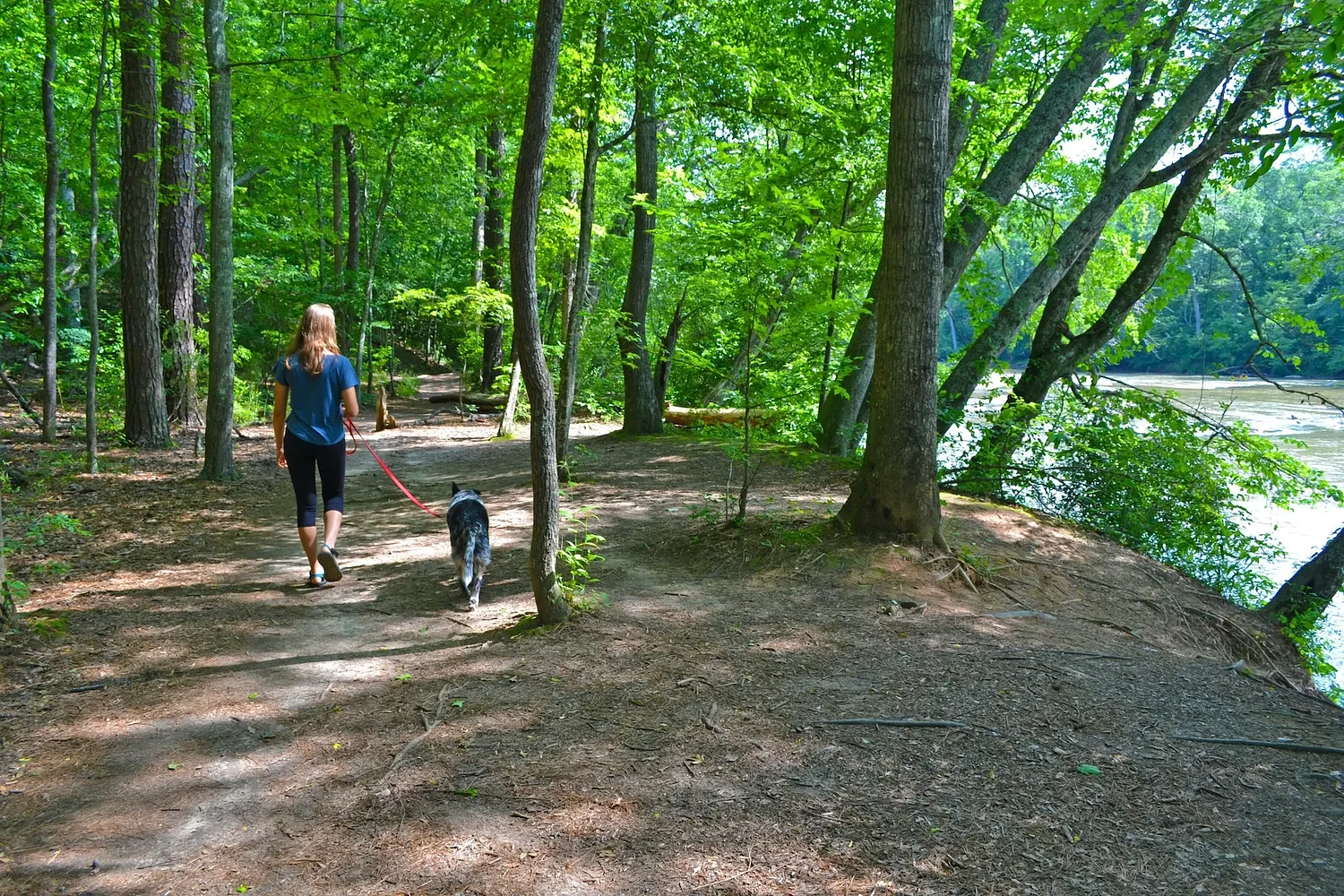 Sandy Springs Conservancy announces new leadership on 25th anniversary
