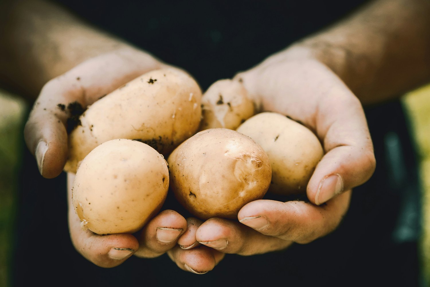 Diquat herbicide poisons the gut, may severely damage other organs, research shows