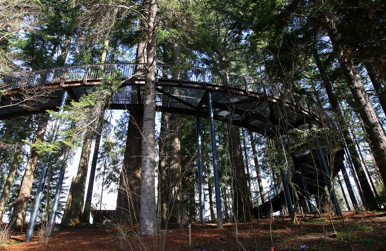 Leach Botanical Garden to raise admission prices while donations, city funding keep it afloat